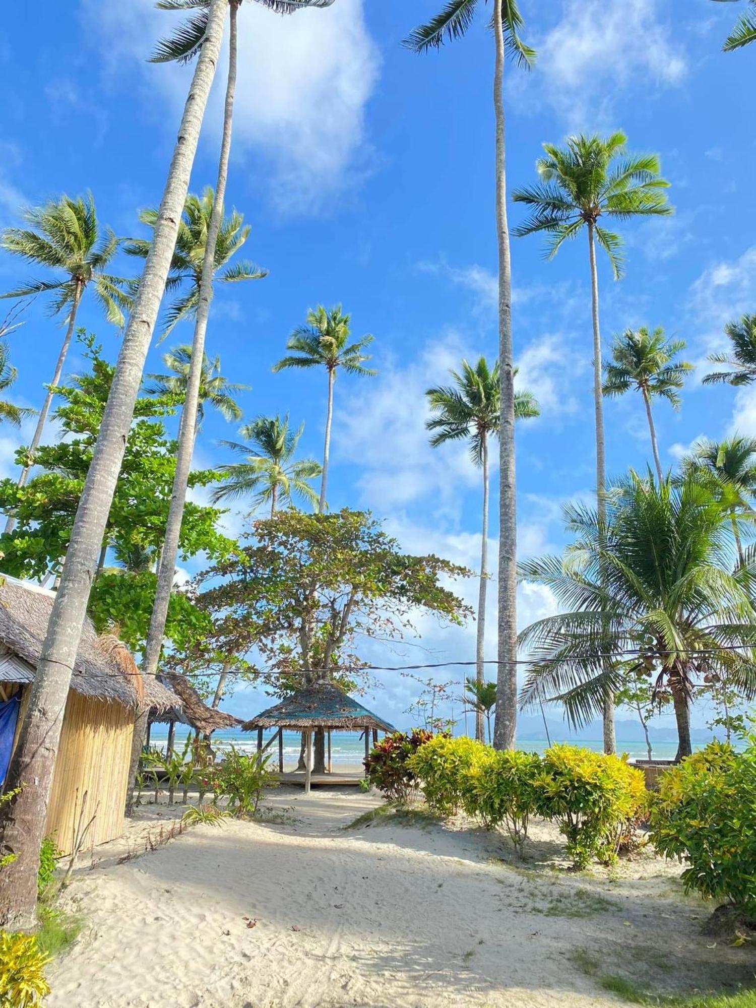 Amihan Beach Hostel ซาน วิเซนเต ภายนอก รูปภาพ