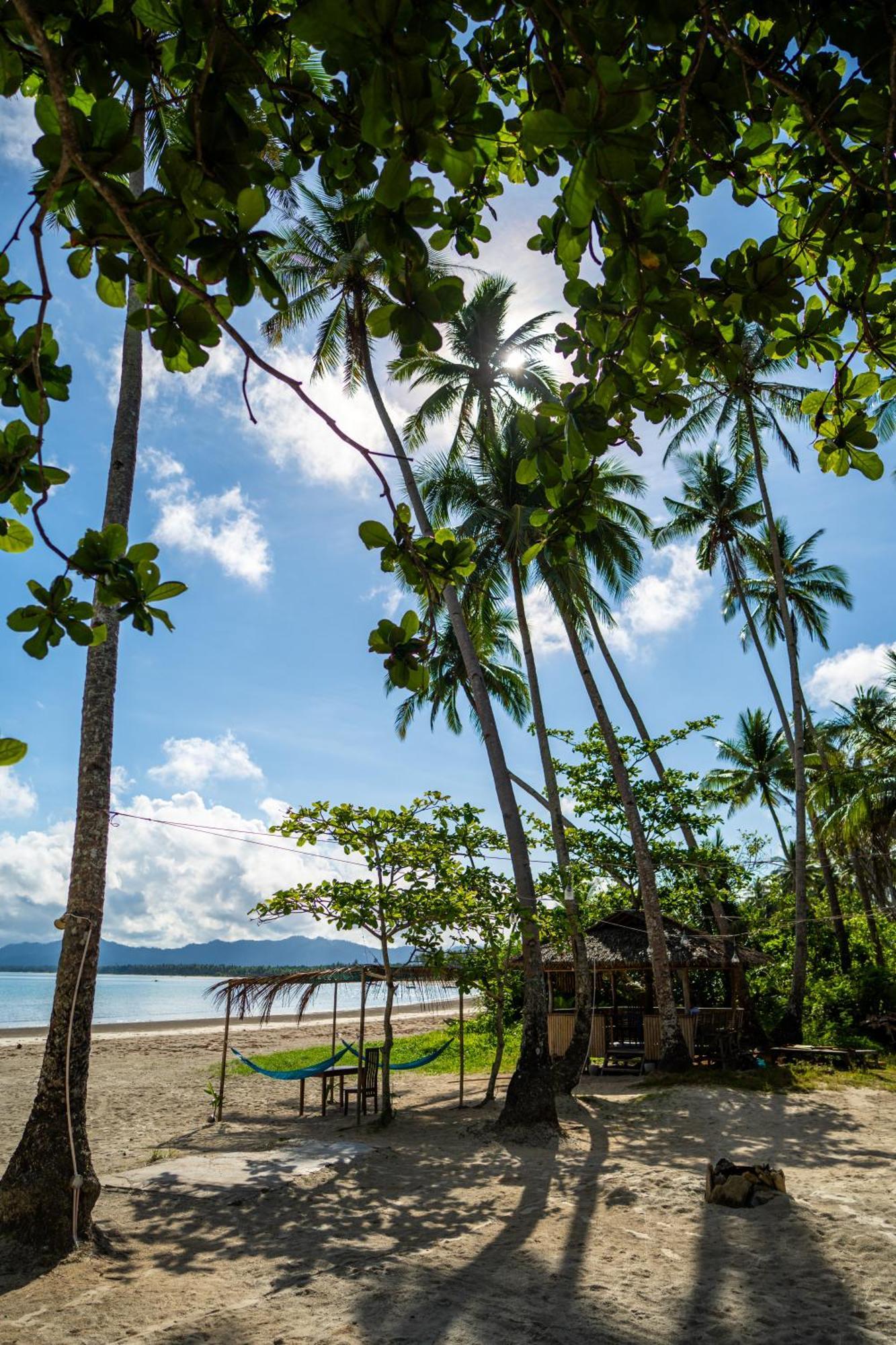 Amihan Beach Hostel ซาน วิเซนเต ภายนอก รูปภาพ